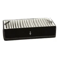 Filtre à charbon Alapure pour Inventum KB80 (2pcs)