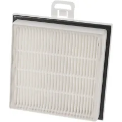 Filtre hygiénique HEPA Bosch 00579494