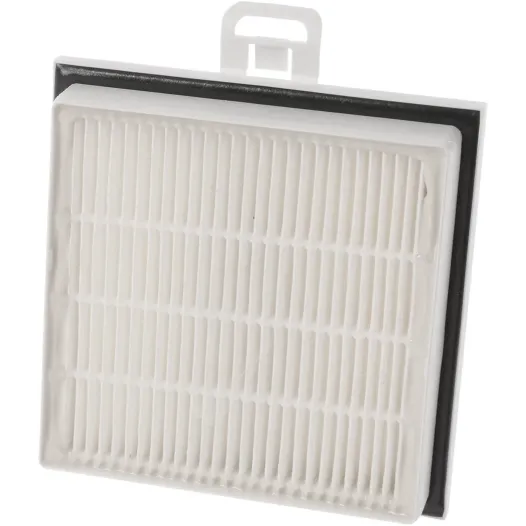 Filtre d'hygiène HEPA Bosch 00579494