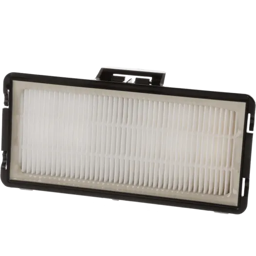 Filtre HEPA Bosch 17007967