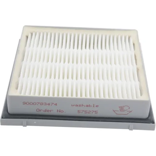 Filtre d'hygiène HEPA Bosch 00579494