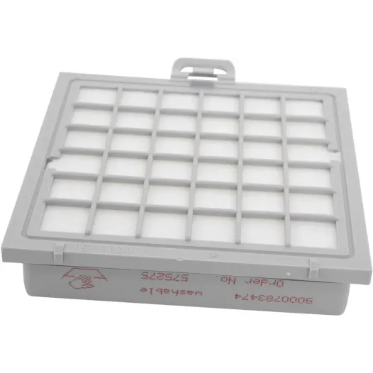 Filtre d'hygiène HEPA Bosch 00579494