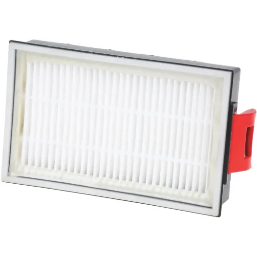 Filtre hygiénique HEPA haute performance Bosch 00570324