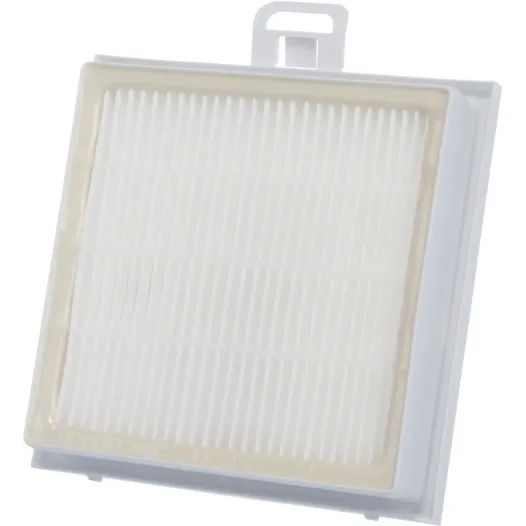 Filtre hygiénique HEPA haute performance Bosch 00578732