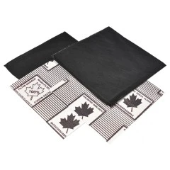 Filtre à charbon Alapure compatible avec l'Atag ACC914