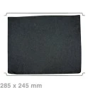 Filtre à charbon AEG Longlife, type 31 / 9029793842