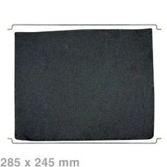 Filtre à charbon Alapure compatible avec le modèle AEG 31 / 9029793842