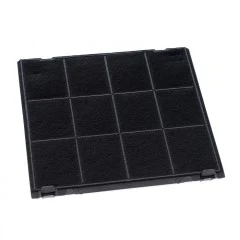 Filtre à charbon Hotpoint-Ariston C00308181
