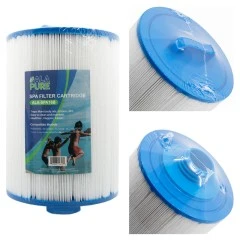 Filtre à eau Alapure Spa compatible avec le Pleatco PWW50P3