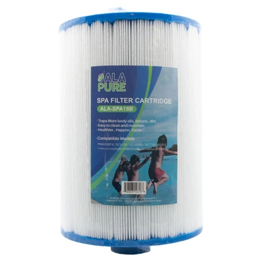 Filtre à eau Alapure compatible avec le Pleatco PMAX50P4