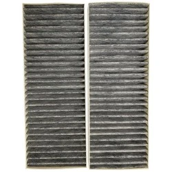Filtre à charbon Blaupunkt AFCFCAASPC90 (2 pièces)