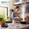 Alapure compatible avec Siemens Filtre à charbon actif régénérable 11019197