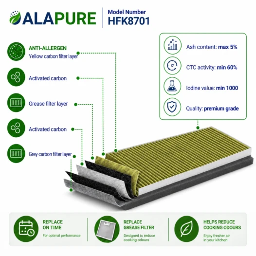 Alapure HFK8701 Compatible avec Constructa CleanAir Plus 11041790 / DWZ0AK0A0 Filtre à charbon