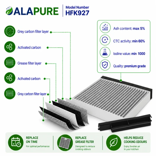 Alapure HFK927 Compatible avec Balay CleanAir 17006795 / DWZ0DX0A0 / 11022296 Filtre à charbon