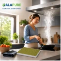 Filtre à charbon Alapure CleanAir Plus compatible avec Gaggenau 11034226 / 17004037 / AA200121 (3 pièces)