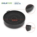 Filtre à charbon Alapure compatible avec les modèles Bosch 00644366 / 00353121 / DHZ5425 / DHZ5465 / LZ55250 / LZ55350