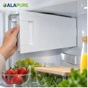 Porte de compartiment congélateur Alapure compatible avec Neff 00447344 / 447344